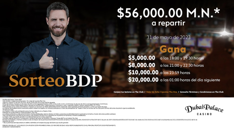BINGO BDP